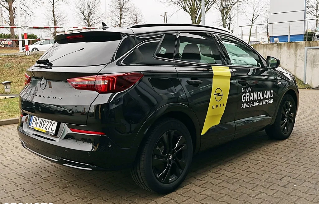 Opel Grandland X cena 179900 przebieg: 2000, rok produkcji 2022 z Pszczyna małe 92